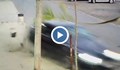 Шофьор помете дърво на тротоар в Каблешково и избяга