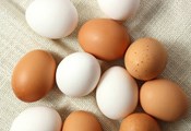 Кафявите яйца ще изчезнат от магазините