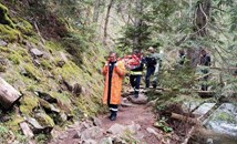 Смолянски пожарникари получиха благодарствено писмо от пострадала туристка