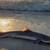 Акула изплува на плажа в Бургас