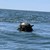 Военни обезвредиха мина в Черно море край Варна