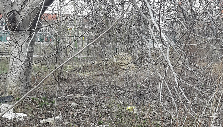 Кой превръща квартал 