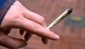Легализират марихуаната в Сърбия за медицински цели