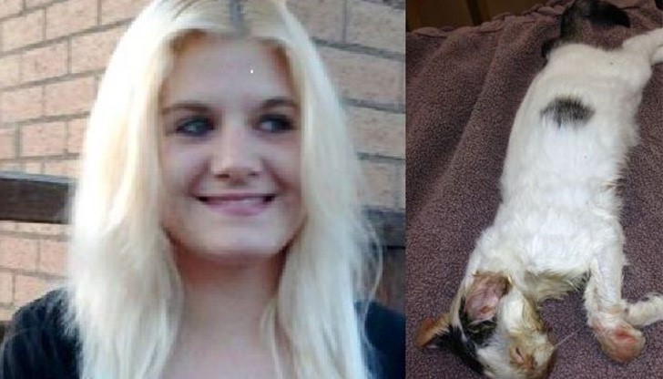 Стопанка врътна за наказание котката си в микровълновата