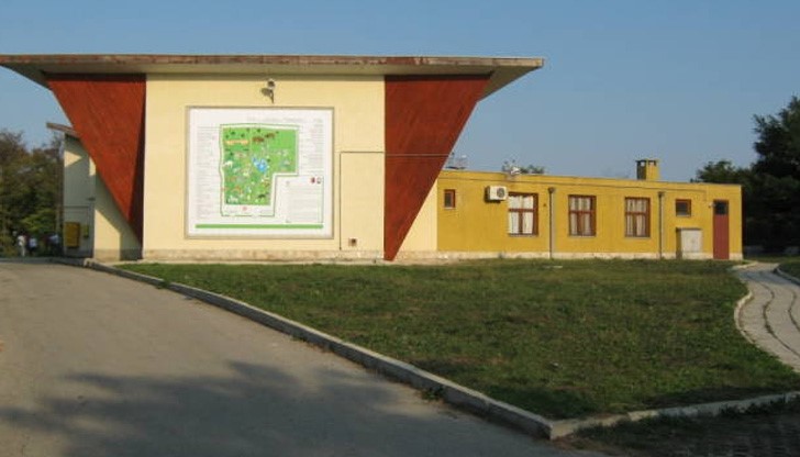 От Добрич са готови да приемат русенските мечки, чакат екоминистерството и Община Русе да се разберат От Добрич са готови да приемат русенските мечки, чакат екоминистерството и Община Русе да се разберат