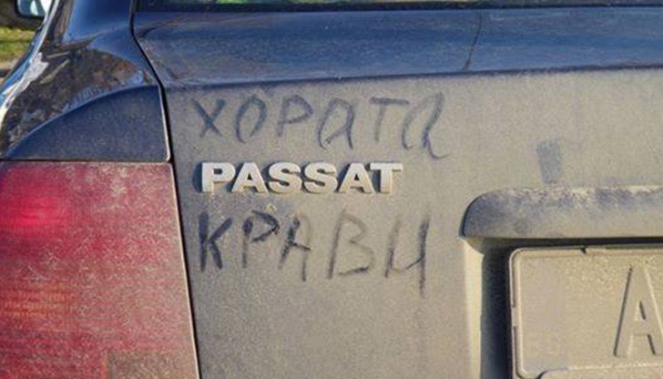 Хората пасат крави