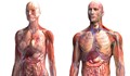 10 въпроса за човешкото тяло, на които науката още не може да отговори
