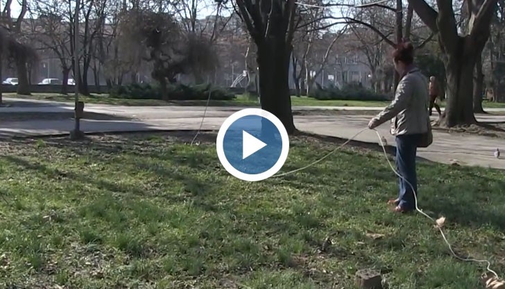 Кабел заплашва живота на деца и разхождащите се в Парка