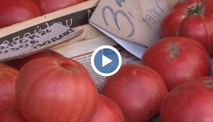 Европа планира да забрани розовия домат