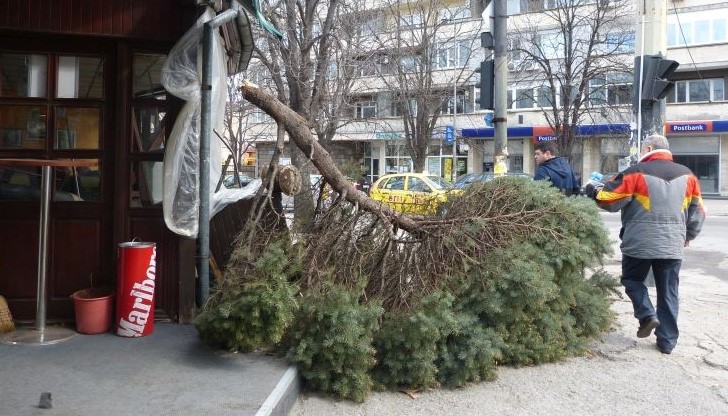 Пиян софиянец паркира А8-цата си в "Михаела"