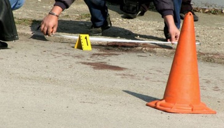 Собственикът на питбулите организира кръводарителска акция за пострадалата