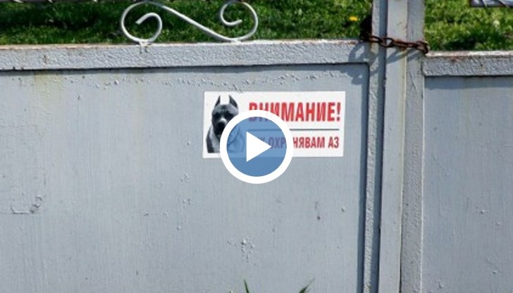 Състоянието на нахапаната от кучета жена остава критично