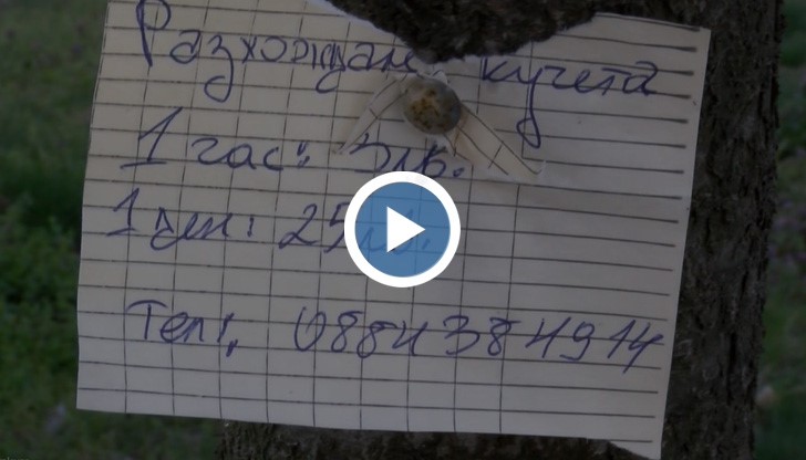 Работа има за всеки, който я търси