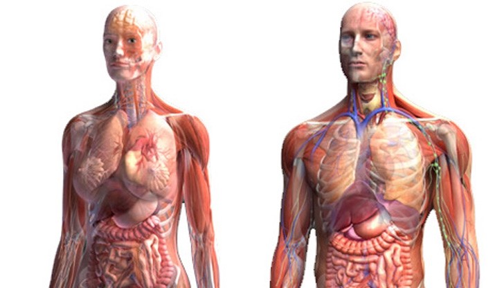 10 въпроса за човешкото тяло, на които науката още не може да отговори