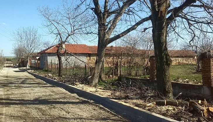 Ремонт по български - асфалт на селска улица или изсичане на дървета по нея?