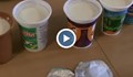 Тест на български кисели млека! Кои стават и кои - не