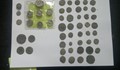 Митничари осуетиха изнасянето на антични монети през  Дунав мост