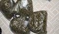 Полицаи хванаха дилър на марихуана в Русенско