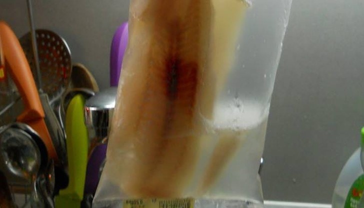 Филе с вода