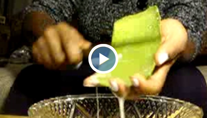 Вълшебна бабина рецепта стопява кисти!