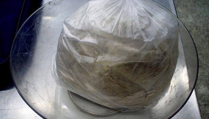 Митничари заловиха над 1,2 кг. таблетки “екстази” на Дунав мост