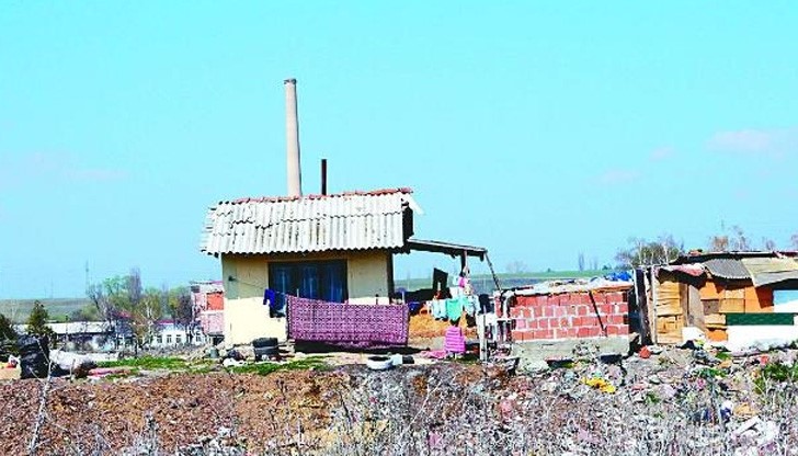Циганка отглежда четири деца в барака с прасе Циганка отглежда четири деца в барака с прасе