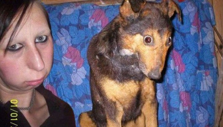 20 забавни снимки, които доказват, че кучетата приличат на стопаните си