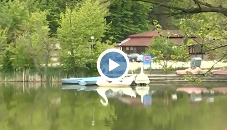 Текето - добре е, че поне птичките са си същите