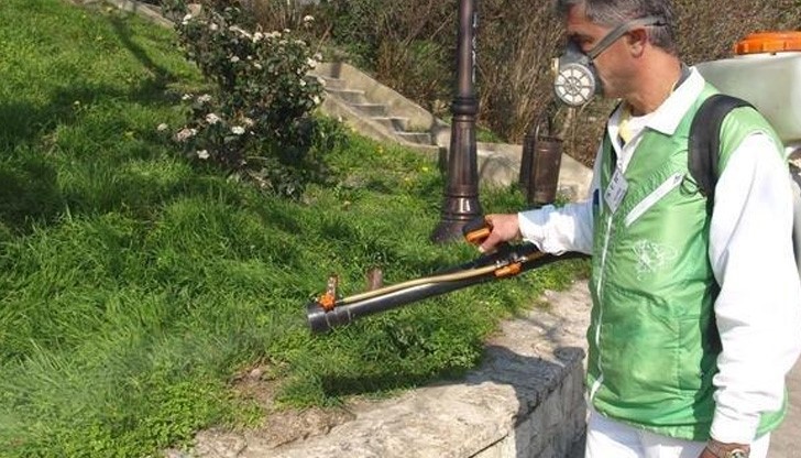 Започна пръскането против комари в Русенско Започна пръскането против комари в Русенско