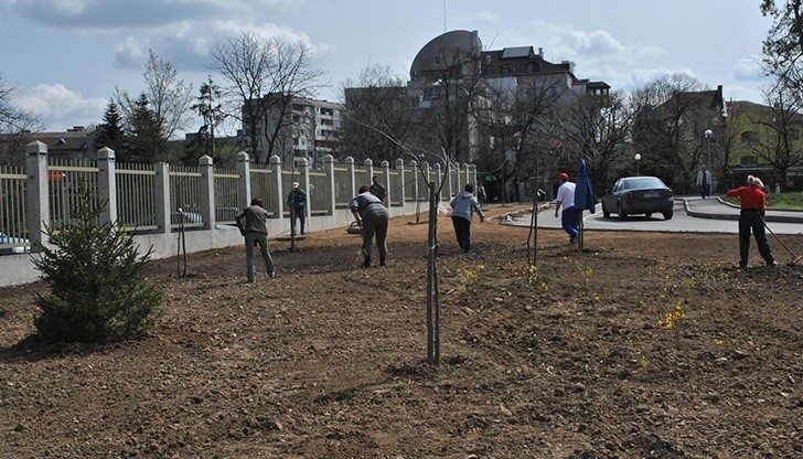 Озелениха новия паркинг в центъра на Русе