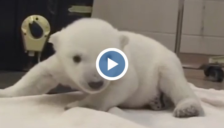 Първата крачка винаги е трудна, но пък си заслужава