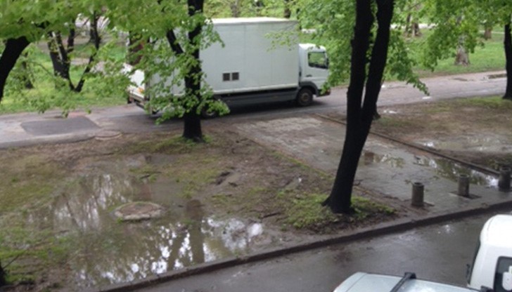 Да живей тарлата!