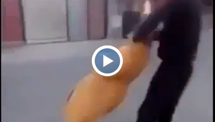 Пияни гамени въртят като чувал бабичка във въздуха