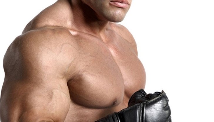 Боксьори и ММА бойци на хонорар като биячи Боксьори и ММА бойци на хонорар като биячи