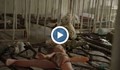 Pink Floyd засне клип край Чернобил