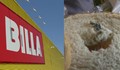 Клиенти на "Билла": Продават ни мухлясал хляб. Лъжат, че е годен за ядене!