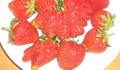Гигантски ГМО ягоди заляха родните пазри