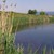 Две деца се удавиха в напоителен канал в село Брестовица