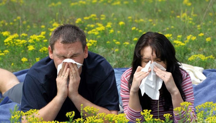 До 2030 г. всеки втори ще е с алергия