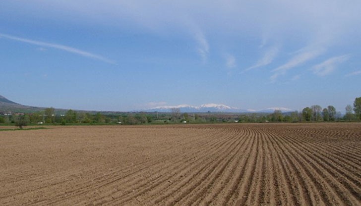 160 лева за декар земя под наем 160 лева за декар земя под наем