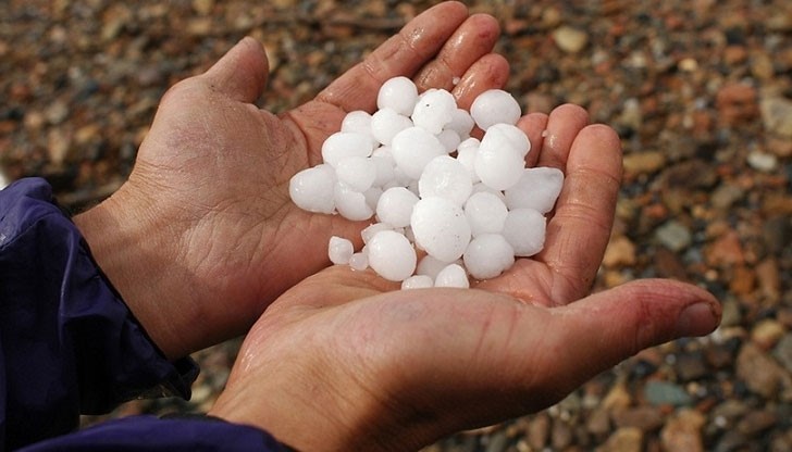 Градушката е унищожила напълно овощни градини в Русенско Градушката е унищожила напълно овощни градини в Русенско