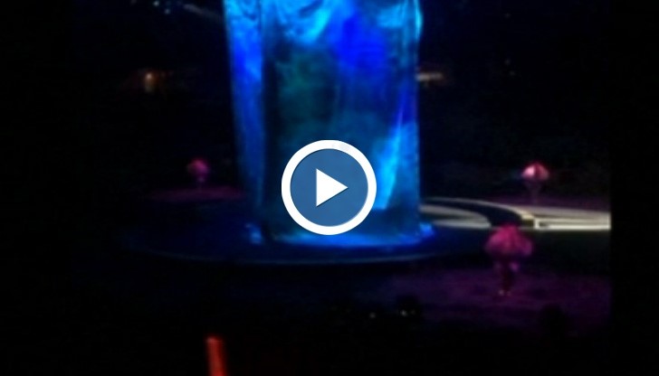 Българска акробатка пострада по време на цирков номер в САЩ