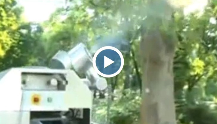 Започна наземното и авиационно пръскане срещу комари в Русе и Гюргево