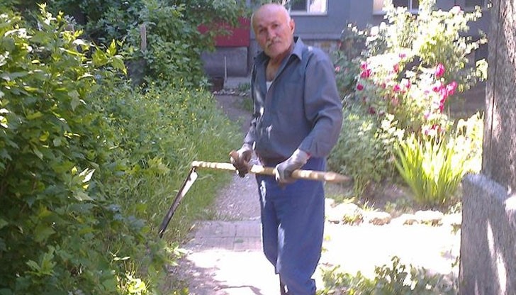 Това не са снимки от ливадите на село, а от квартал Родина