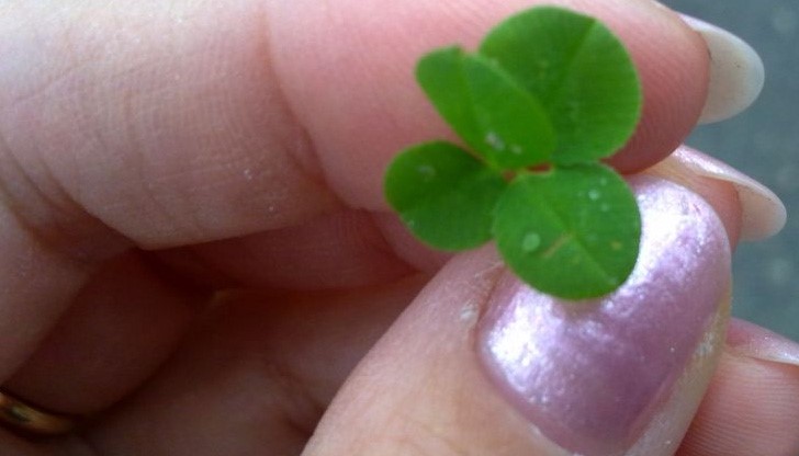 10 начина да имате абсолютно всичко, което искате! 10 начина да имате абсолютно всичко, което искате!