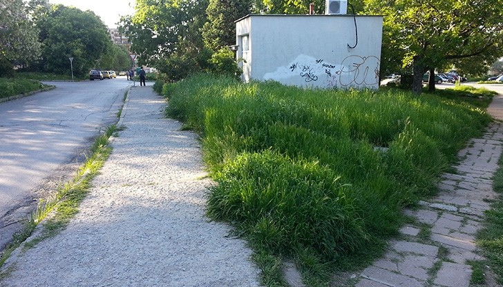 А до нас ще стигнат ли косачките на Общината?