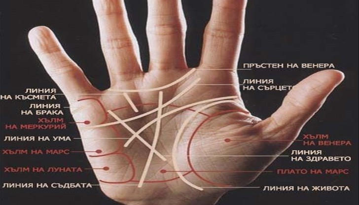 Дланта на жената разкрива каква е съдбата й Дланта на жената разкрива каква е съдбата й