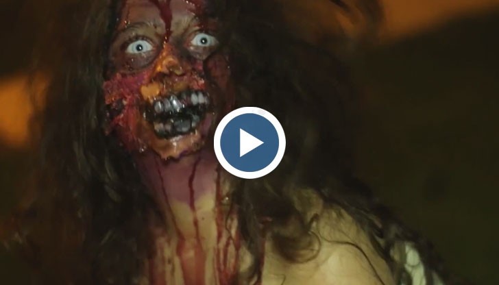 Този номер ще ви побърка от страх!