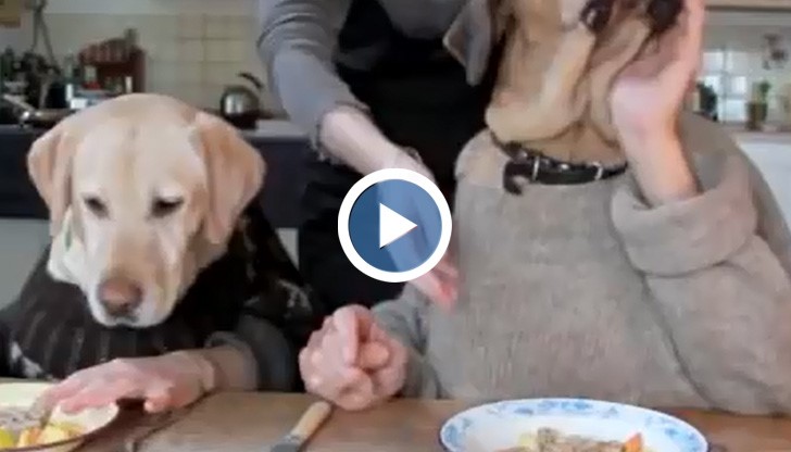 Човекоподобни превзеха социалните мрежи