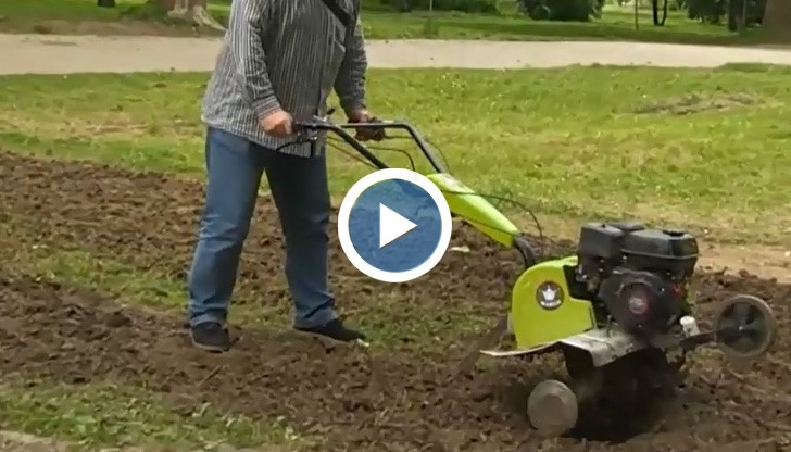 Паркът е в добро състояние след края на търлата